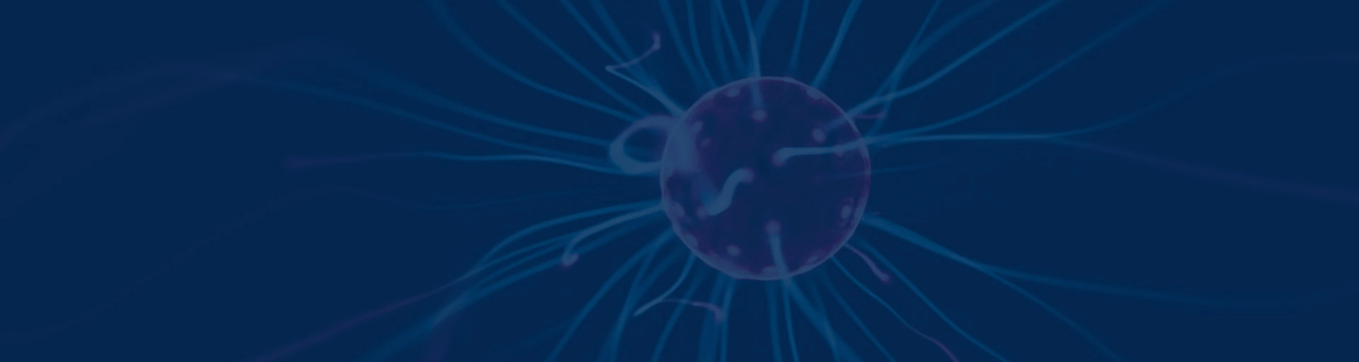 Neue Regeln bei der Einspeisung von Solarstrom